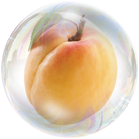 Apricot